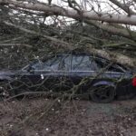 Sturm "Herwart" sorgte für große Schäden in Barnim 43 Bernau LIVE