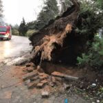 Sturm "Herwart" sorgte für große Schäden in Barnim 45 Bernau LIVE