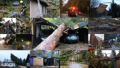 Sturm "Herwart" sorgte für große Schäden in Barnim