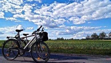 Radverkehrsstrategie: Noch mehr Fahrradfreundlichkeit in Brandenburg