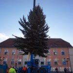 Bernau: Weihnachtsbaum im Doppelpack und Mega Logistik 39 Bernau LIVE