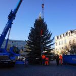 Bernau: Weihnachtsbaum im Doppelpack und Mega Logistik 38 Bernau LIVE