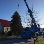 Bernau: Weihnachtsbaum im Doppelpack und Mega Logistik 34 Bernau LIVE