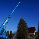 Bernau: Weihnachtsbaum im Doppelpack und Mega Logistik 33 Bernau LIVE