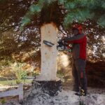 Bernau: Weihnachtsbaum im Doppelpack und Mega Logistik 32 Bernau LIVE