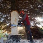 Bernau: Weihnachtsbaum im Doppelpack und Mega Logistik 31 Bernau LIVE