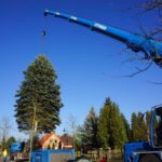 Bernau: Weihnachtsbaum im Doppelpack und Mega Logistik 24 Bernau LIVE