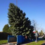 Bernau: Weihnachtsbaum im Doppelpack und Mega Logistik 26 Bernau LIVE
