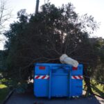Bernau: Weihnachtsbaum im Doppelpack und Mega Logistik 25 Bernau LIVE