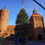 Bernau: Weihnachtsbaum im Doppelpack und Mega Logistik 9 Bernau LIVE