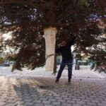 Bernau: Weihnachtsbaum im Doppelpack und Mega Logistik 8 Bernau LIVE