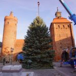 Bernau: Weihnachtsbaum im Doppelpack und Mega Logistik 7 Bernau LIVE