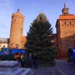 Bernau: Weihnachtsbaum im Doppelpack und Mega Logistik 5 Bernau LIVE