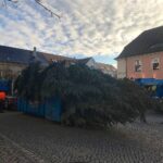 Bernau: Weihnachtsbaum im Doppelpack und Mega Logistik 44 Bernau LIVE