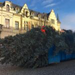 Bernau: Weihnachtsbaum im Doppelpack und Mega Logistik 45 Bernau LIVE