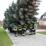 Weihnachtsbaum schwebte heute in Schwanebeck ein 2 Weihnachtsbaum schwebte heute in Schwanebeck ein