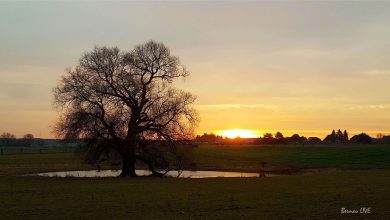 Guten Morgen in der (Arbeits) Woche vor Heiligabend 4 Bernau - Barnim: Guten Morgen in der (Arbeits) Woche vor Heiligabend