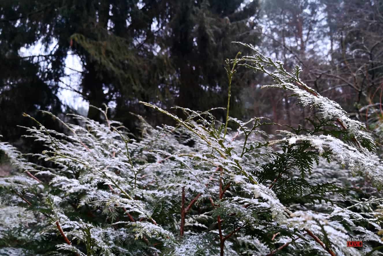 Guten Morgen aus Bernau mit einem Hauch von Schnee