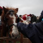 Weihnachtstrubel und Budenzauber zum 1. Advent in Blumberg 2 Bernau LIVE