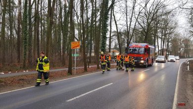 Feuerwehr Bernau: Mega Ölspur von Albertshof bis nach Waldfrieden