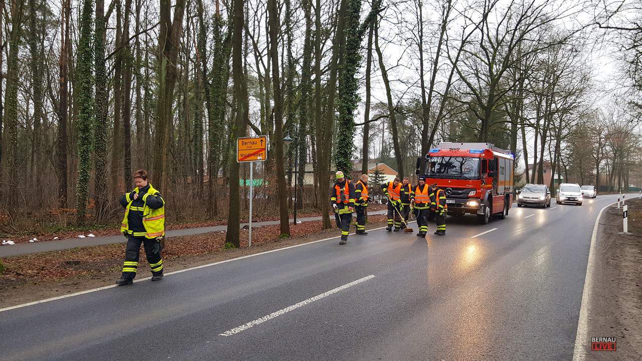 Feuerwehr Bernau: Mega Ölspur von Albertshof bis nach Waldfrieden
