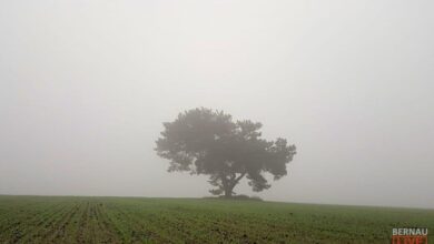 Guten Morgen aus Bernau an diesem ziemlich grauen Donnerstag