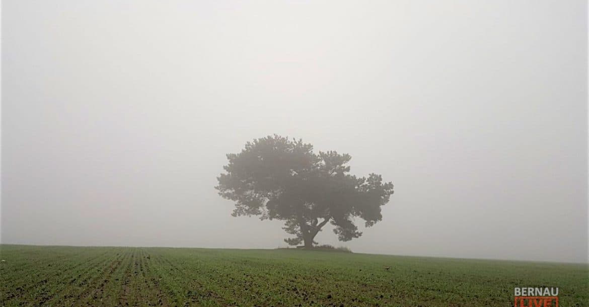 Guten Morgen aus Bernau an diesem ziemlich grauen Donnerstag 3 Guten Morgen aus Bernau an diesem ziemlich grauen Donnerstag
