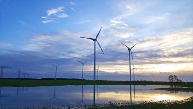 Sonne in Sicht, guten Morgen aus der Sonnenstadt Bernau 3 Sonne in Sicht, guten Morgen aus der Sonnenstadt Bernau