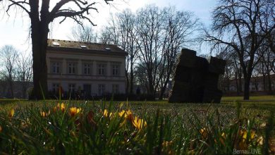 Das Kulturamt Bernau zieht um - geänderte Öffnungszeiten