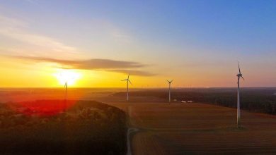 Bernau - Wandlitz: Senat lehnt den Bau von 8 Windkraftanlagen im Liepnitzwald ab