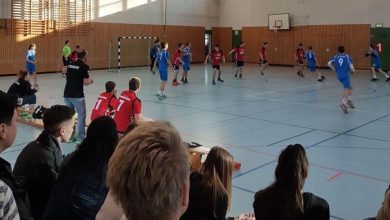 Handball aus Bernau: Bernauer Bären im Remis gegen VfL Potsdam II