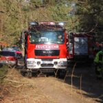 Waldbrand in Klosterfelde sorgte für Großeinsatz der Feuerwehren 9 Waldbrand in Klosterfelde sorgte für Großeinsatz der Feuerwehren
