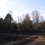 Waldbrand in Klosterfelde sorgte für Großeinsatz der Feuerwehren 7 Bernau LIVE