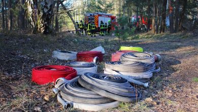 Barnim - Bernau - Waldbrand in Klosterfelde sorgte für Großeinsatz der Feuerwehren