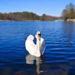 Ostern in Bernau und Drumherum - ein kleiner Rückblick 66 Geniesst die letzten Sonnenstrahlen in Bernau und Drumherum