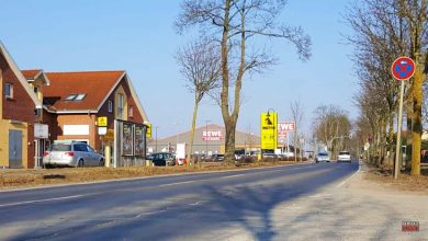 Bernau - Schönow - Bernauer Allee: 55 Bäume fallen für den Straßenausbau