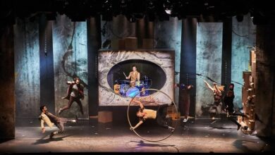 Freikarten! Lust auf eine grandiose Show im CHAMÄLEON Theater?