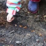Tag des Baumes - unterwegs mit Waldkita und Förster in Bernau 4 Bernau LIVE