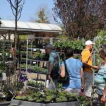 Biesenthal: Tag der offenen Tür bei den Hoffnungstaler Werkstätten 11 Bernau LIVE