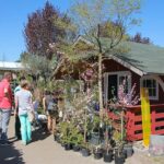 Biesenthal: Tag der offenen Tür bei den Hoffnungstaler Werkstätten 8 Bernau LIVE