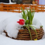 Schneegestöber und Lagerfeuer bei Spilwut - Kloster Chorin teils gesperrt 27 Veranstaltungen in- und um Bernau am heutigen Ostermontag