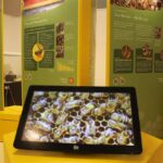 Ostern in Bernau und Drumherum - ein kleiner Rückblick 30 Bernau LIVE