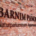 Ostern in Bernau und Drumherum - ein kleiner Rückblick 33 Bernau LIVE