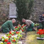 Bernau blüht auf – Firma Hoppe pflanzt über 3.350 Frühblüher 6 Bernau blüht auf – Firma Hoppe pflanzt über 3.350 Frühblüher