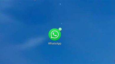 WhatsApp nun ab 16 - Habt Ihr auch schon das Update bekommen?