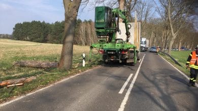LKW verlor Holz zwischen Biesenthal und Melchow - Sperrung aufgehoben