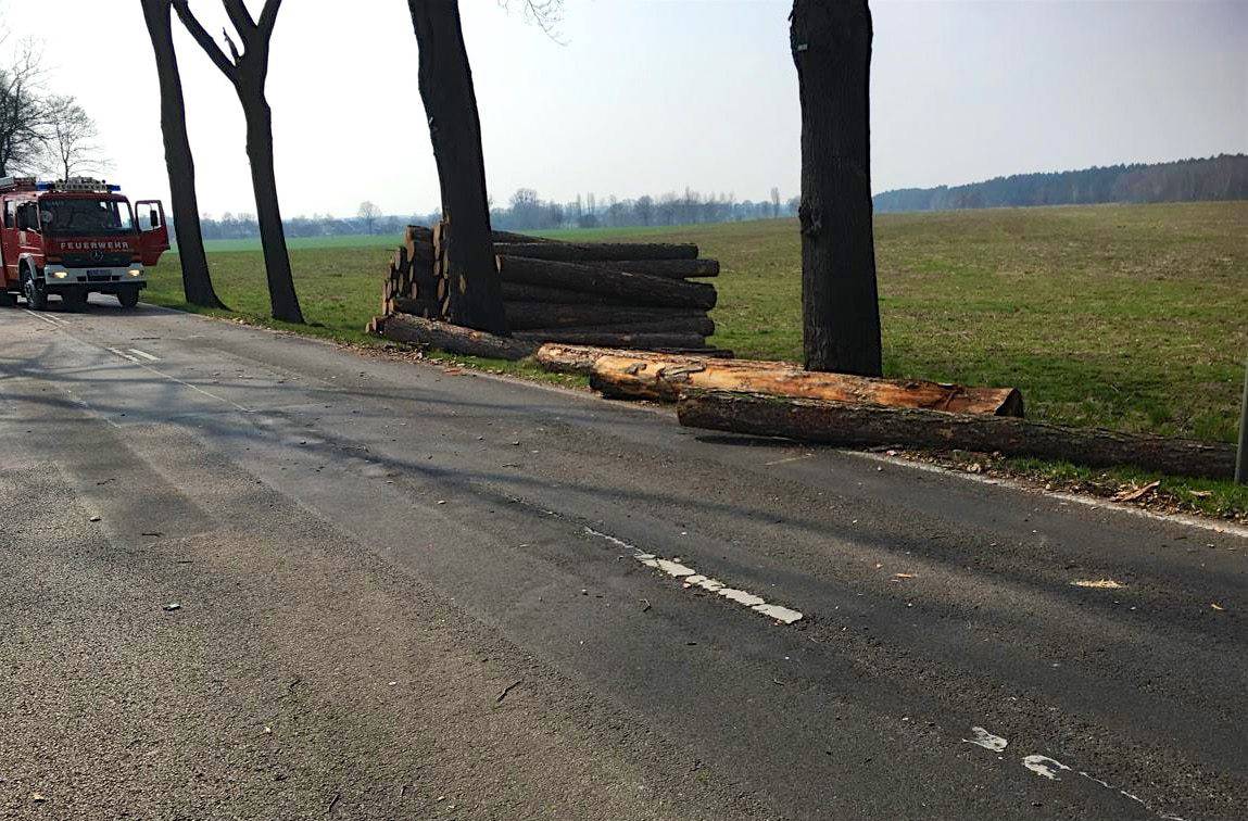 LKW verlor Holz zwischen Biesenthal und Melchow - Sperrung aufgehoben