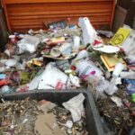 Nachtrag zum Dreck im Stadtpark Bernau - nun ist er wieder sauber! 12 Bernau LIVE