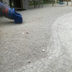 Nachtrag zum Dreck im Stadtpark Bernau - nun ist er wieder sauber! 5 Bernau LIVE