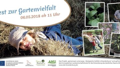 Fest der Gartenvielfalt auf dem Hof Schafgarbe in Bernau